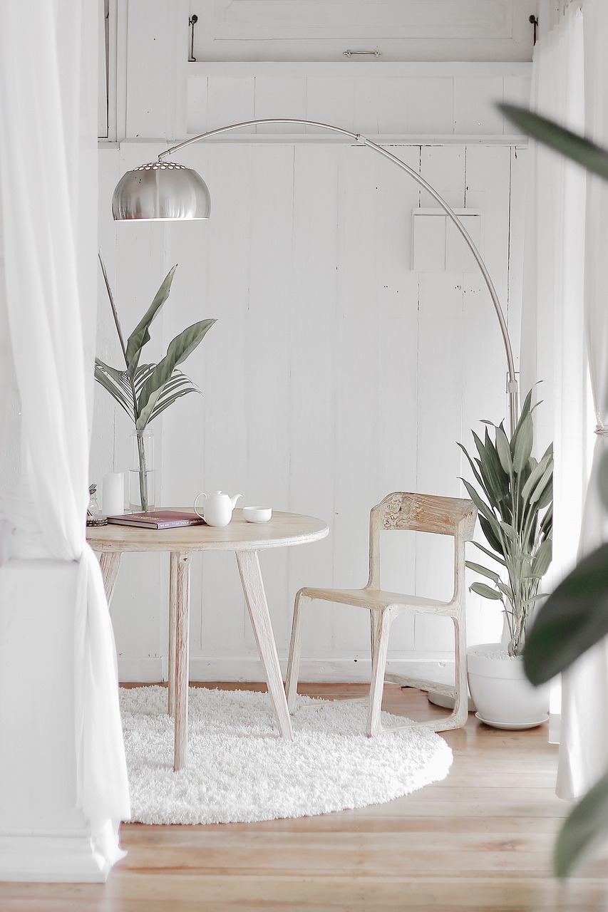 plant, design, home, house, lamp, nature, white, wood, home, home, home, home, home